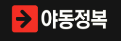 야동정복