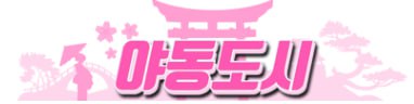 야동도시